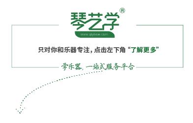 关于新手怎么练竖琴,想学竖琴的五大禁忌