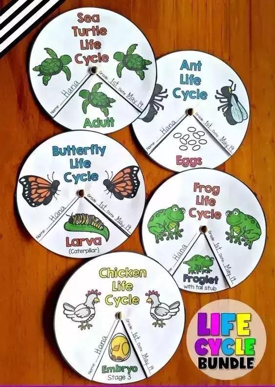 折叠书怎么做教程,折叠书简单又漂亮