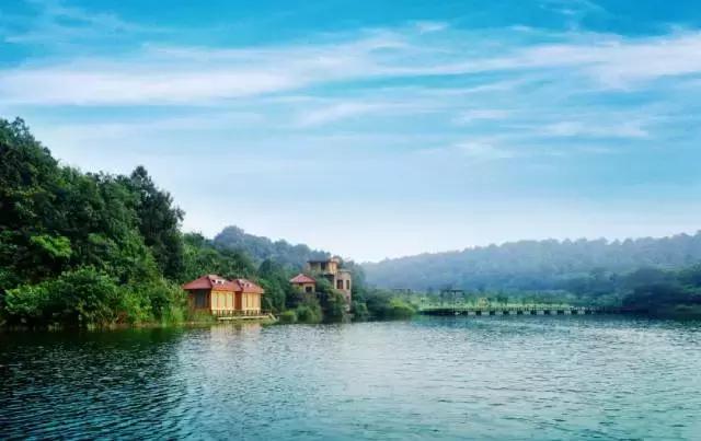 马鞍山特点美食排行榜前十名,马鞍山美食记录大全