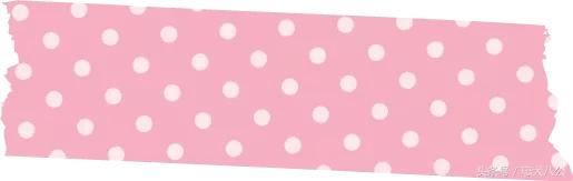 狗妈妈紧急剖腹产，主人全程记录见证历史时刻