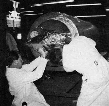 为了复活50年前的“冷冻人”，这个维修工背负了半世纪的骂名