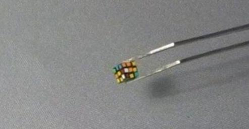 盘点最奇葩的吉尼斯纪录,世界上肾脏最多的人破吉尼斯纪录