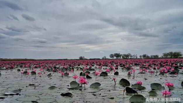 清迈小众私藏攻略,清迈旅行必备