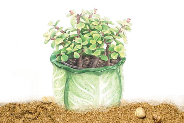 自制万能自动浇花神器,自动浇花神器自制