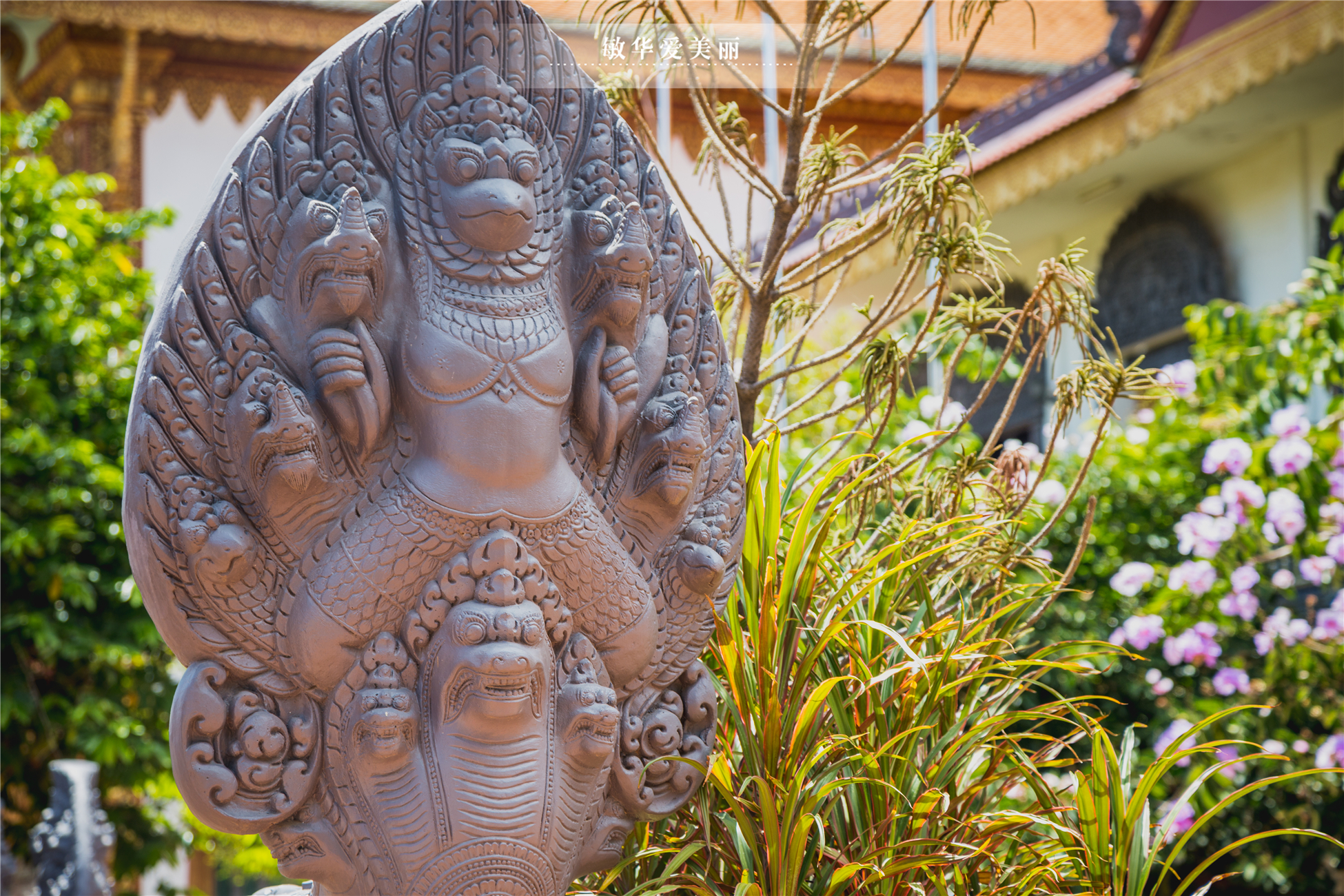 柬埔寨的传奇寺庙,历史上的柬埔寨寺庙