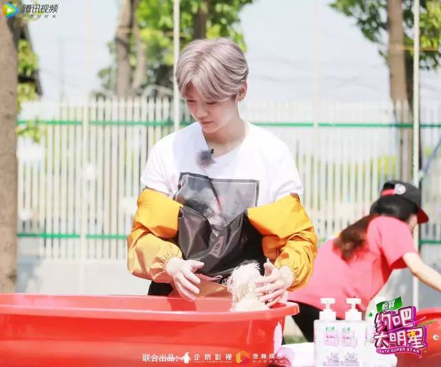 李晨和鹿晗亲自动手收拾狗狗窝,鹿晗和李晨遛狗