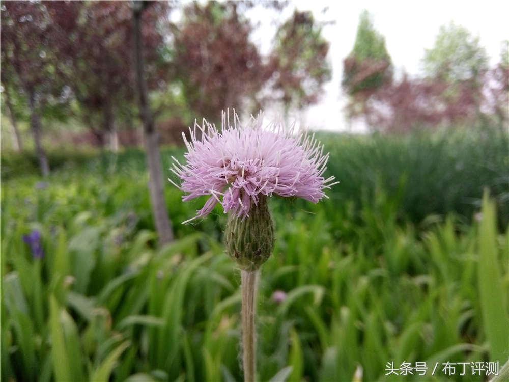 效果最好的裸眼3d手机,裸眼3d屏幕效果最好的手机