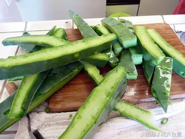 嘴馋了，摘盆花儿来尝尝，第一盆花卉佳肴就闻所未闻