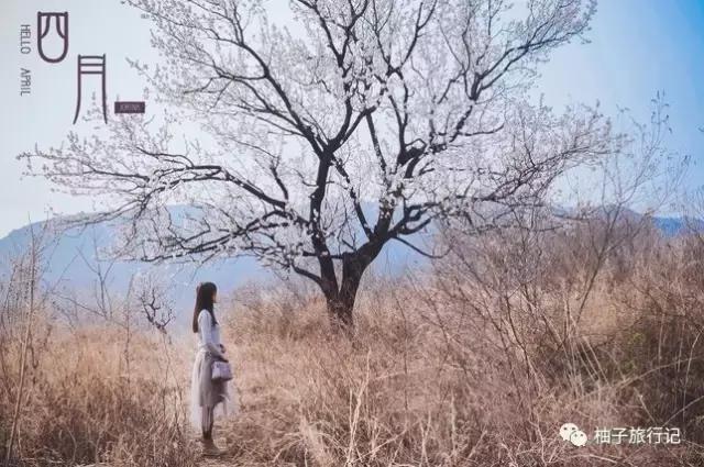 天津蓟县精品旅游,天津蓟县五盆沟景区好爬吗