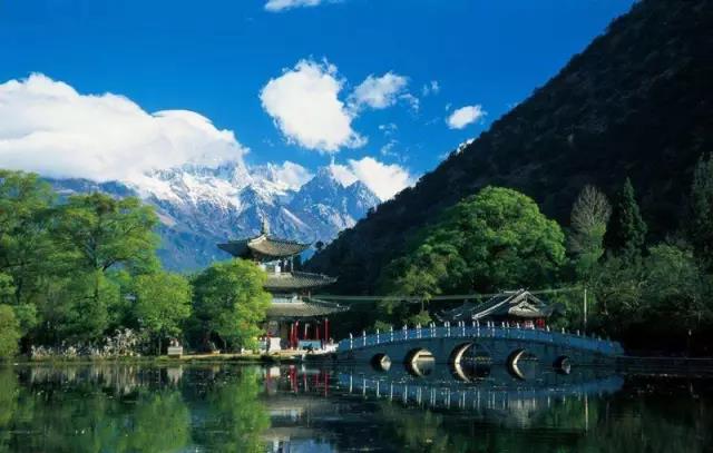 云南的鲜花和鲜花饼,云南鲜花饼云南印象