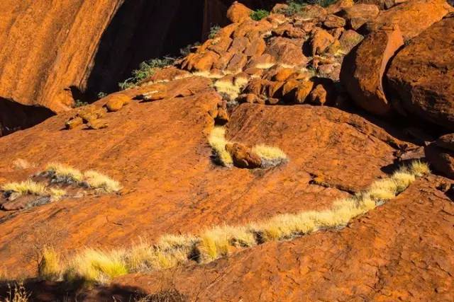 淘宝禁售app,淘宝禁售类目怎么规避