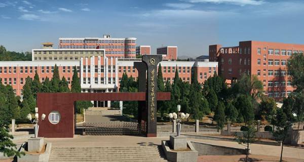 黑龙江大专院校热度排行榜,黑龙江专科排名前十