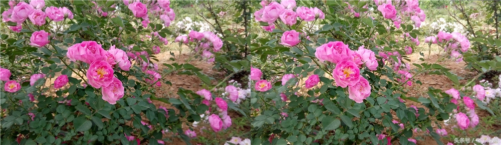 效果最好的裸眼3d手机,裸眼3d屏幕效果最好的手机