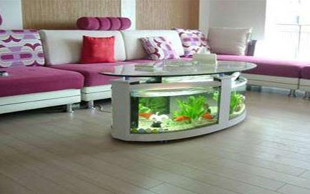 鱼缸放在家里哪个方向最旺财旺人,偏财运鱼缸放客厅什么方向