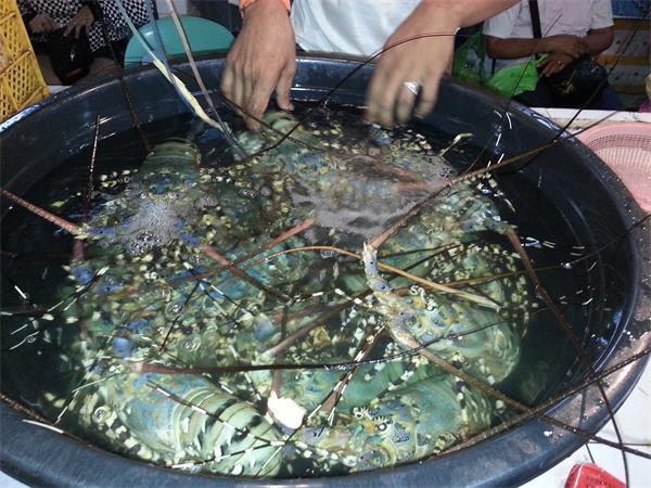 长滩岛海鲜攻略,长滩岛海边必吃的美食