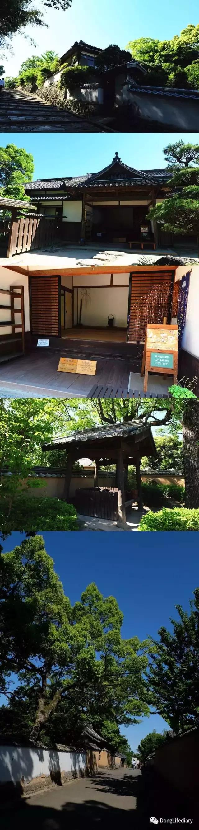 去日本北九州好吗,北九州看樱花