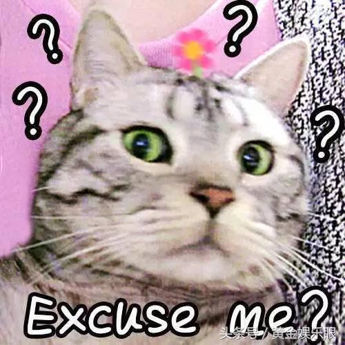 十二岁出道成名,17岁出道22岁一剧走红