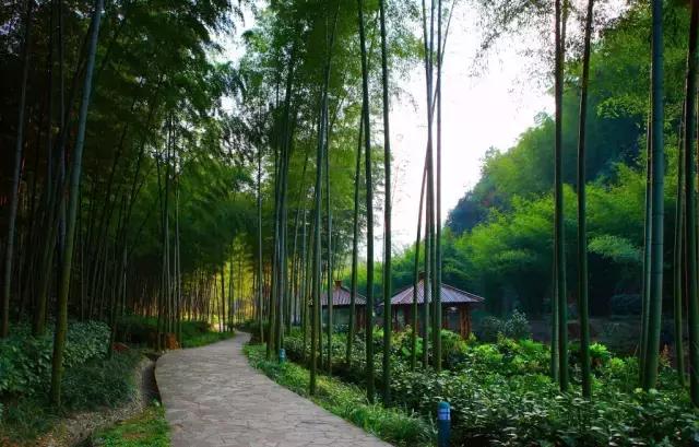 宜兴竹海乐园,宜兴竹海邀您游玩巴厘岛