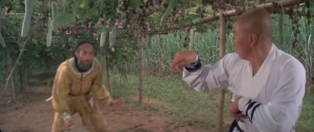 李连杰螳螂拳的师傅,李连杰的少林拳法