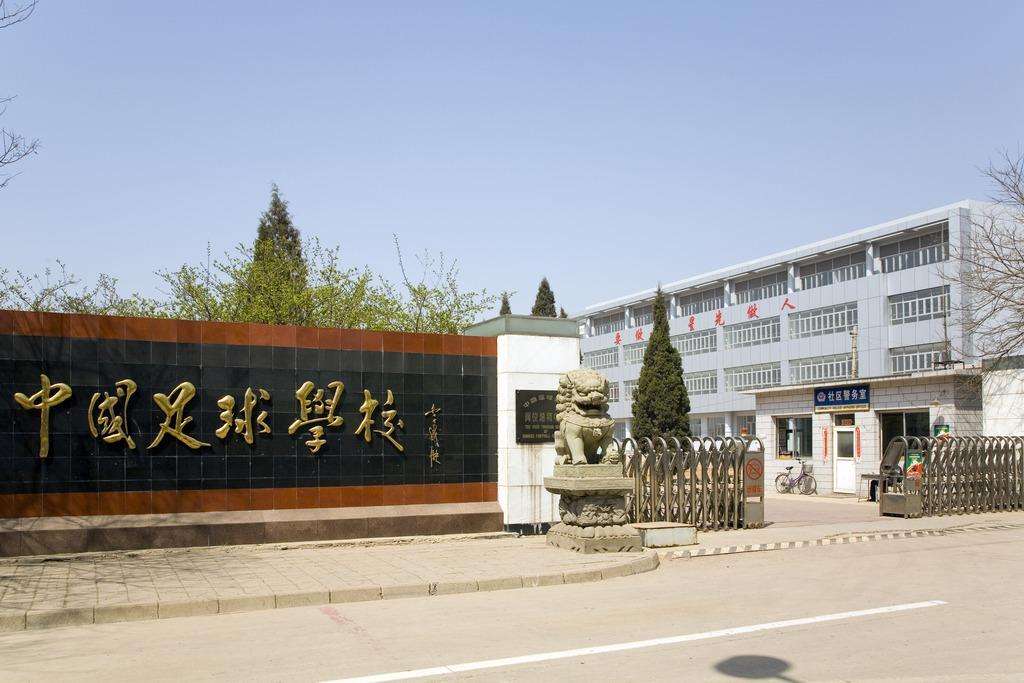 中国足球青训未来3到5年有质变,中国为什么搞不好足球