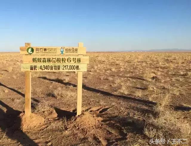 支付宝你神经病呀，再这样下去友谊的小船说翻就翻啦