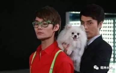 靳东陈坤胡歌王凯杨烁陆毅,钟汉良王凯佟大为陆毅同台合照