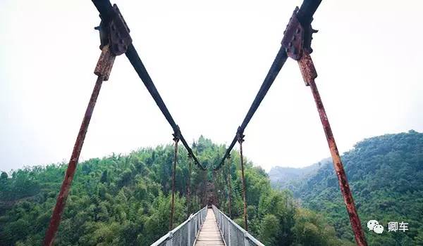 36元起！端午和陈柏霖、林依晨探索高山林海秘境，竹海漫步！