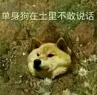 超小，巨小，无与伦比小的表情包，速来查收！