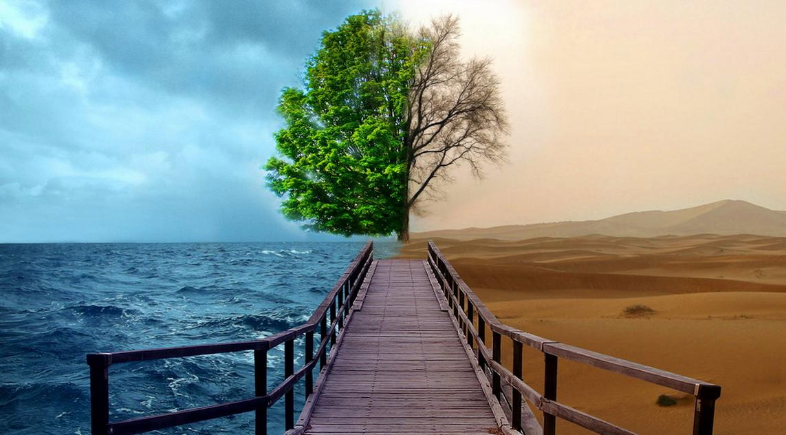 后发地区，通过什么途径赢得招商引资？