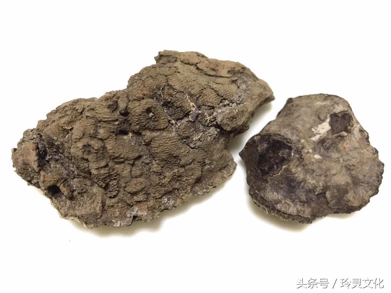 假的越南黑色土沉香,顶级沉香精品图片大全