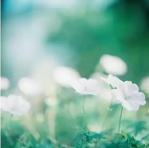 用了很久都不舍得换的个性签名,让人觉得温柔又惹不起的个性签名