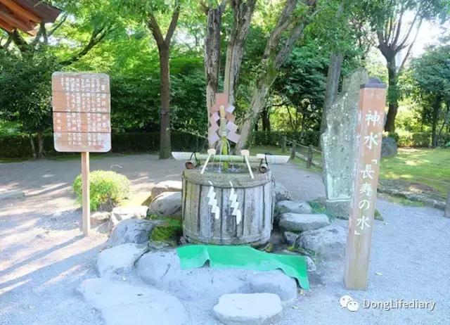 去日本北九州好吗,北九州看樱花