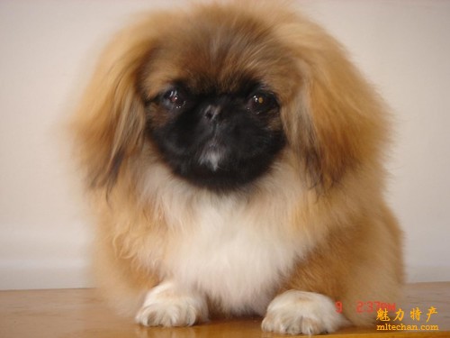 北京特产简笔画,北京特产一览表