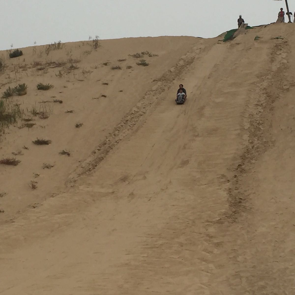 半沙半海乐悠悠，京东大沙漠，国家级海洋自然保护区——翡翠岛