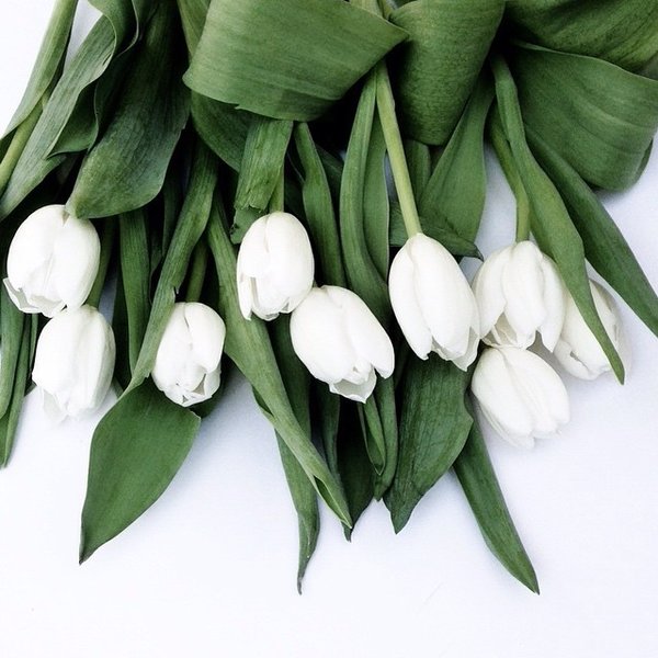 我把你当作我的唯一如此形影不离,我把你当唯一你却把我当其中之一