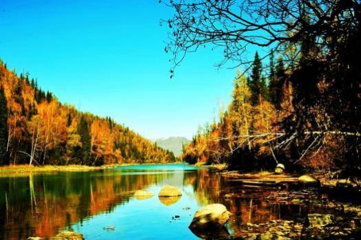 商业智能数据可视化分析,plotly数据可视化