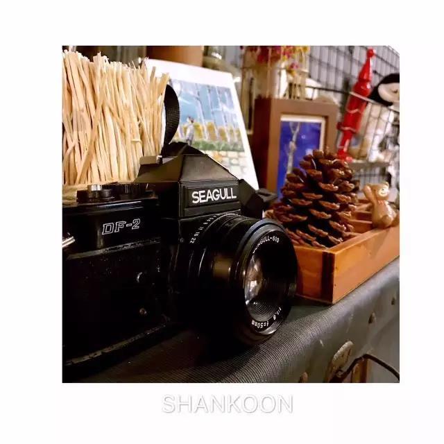 她离开城市回到故乡造了一个卖蛋糕咖啡的公益图书馆