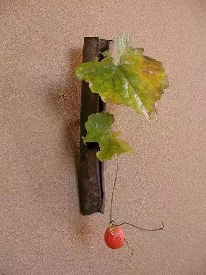 我想学插花有教程吗,学插花怎么学