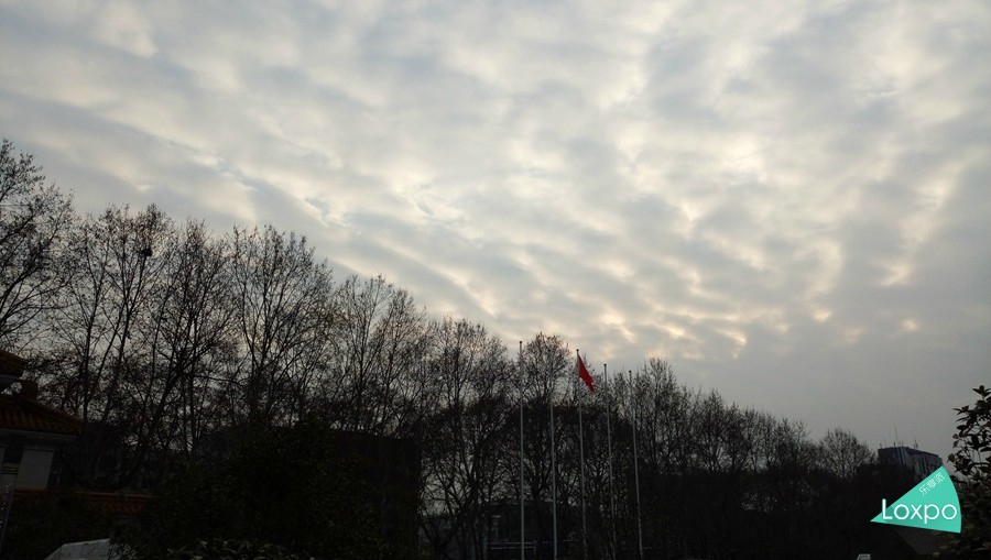 vivox6plus全网通咋样,vivox6plus要升级吗