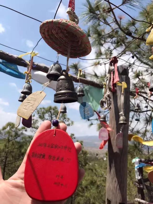 她离开城市回到故乡造了一个卖蛋糕咖啡的公益图书馆