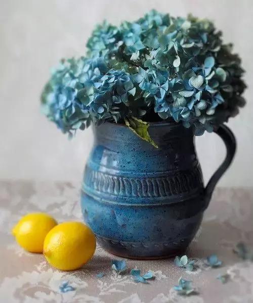 我想学插花有教程吗,学插花怎么学