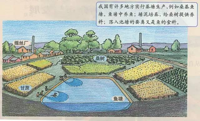 桑基鱼塘农耕文化体验区,传统桑基鱼塘不断萎缩的根本原因