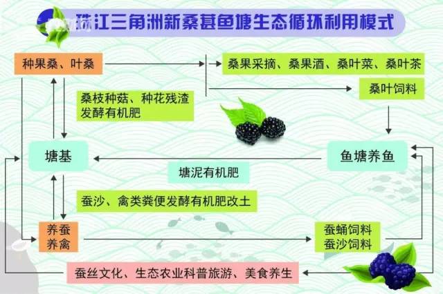 桑基鱼塘农耕文化体验区,传统桑基鱼塘不断萎缩的根本原因