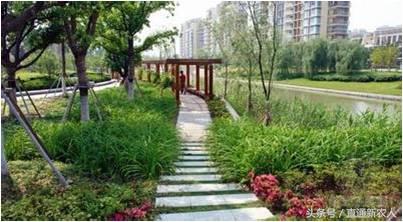 中国首批特点小镇巡礼——之天津篇崔黄口镇、天津中塘镇