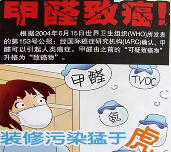 辟谣吸收甲醛最好的室内绿植,能吸附甲醛的绿色植物