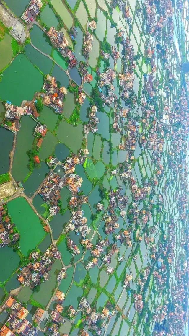 桑基鱼塘农耕文化体验区,传统桑基鱼塘不断萎缩的根本原因