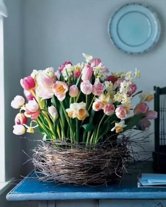 我想学插花有教程吗,学插花怎么学