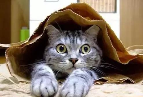 职场表情包朋友圈,职场表情包套装