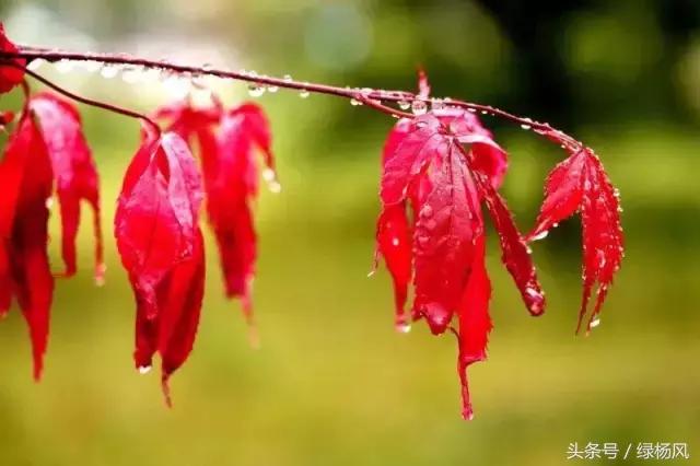 五一扬州瘦西湖风景区门票价格,2022年扬州瘦西湖门票多少钱