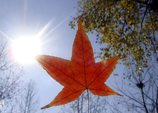 适合发朋友圈的感悟人生句子短句,适合发朋友圈的人生感悟经典语录